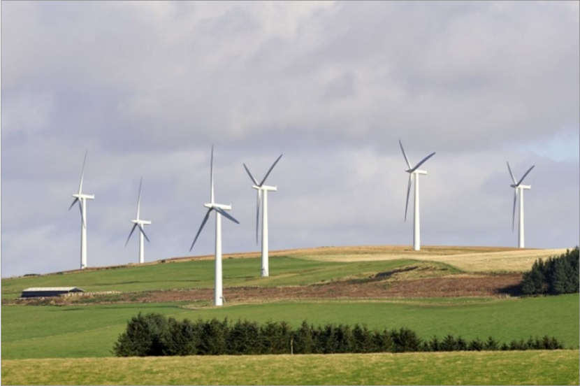 Bats and Onshore Wind Turbines Report 