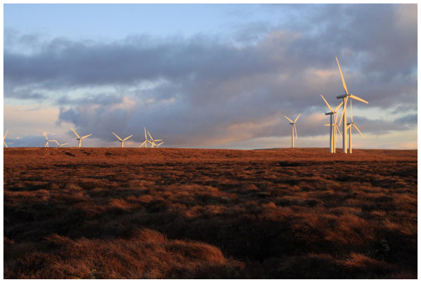 Farr wind turbines in a field with sky