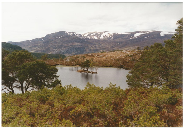 A loch surrounded by mountains and woodland