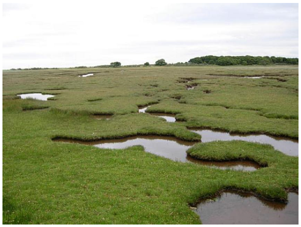 Tyninghame Saltmarsh with land and open water