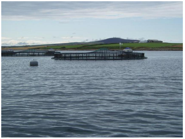 Two circular aquaculture enclosures in a bay off Rousay 