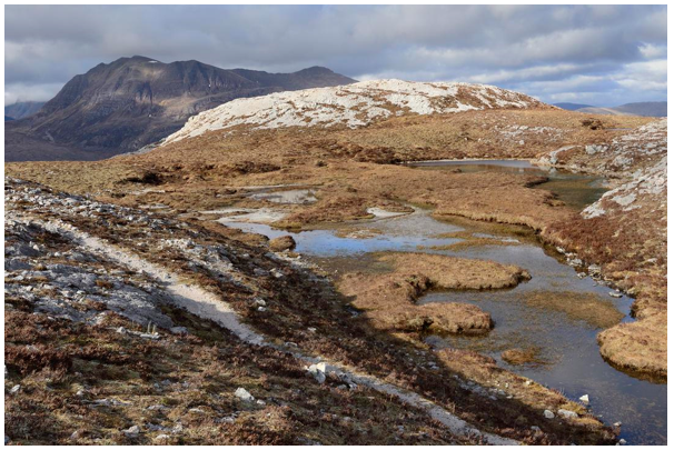Snow dusting peat bog and montane habitat