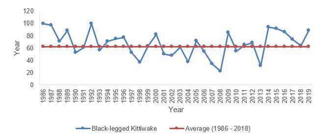 The data for the graph on Black-legged Kittiwake is provided in table 5