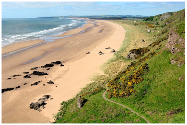 Curved pale sandy beach with steep grassland and small cliffs rising from it. 