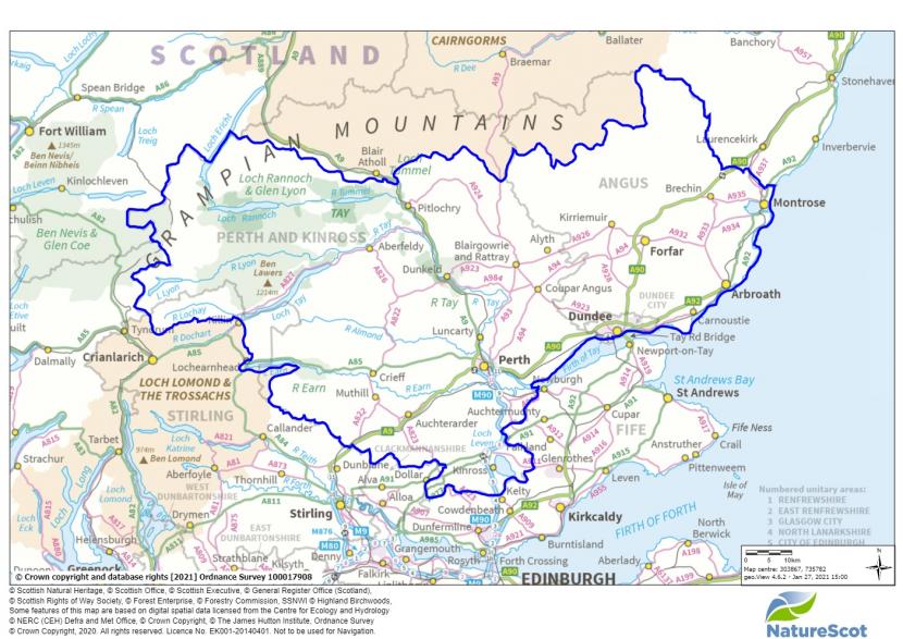Area covered by this report, including Perth and Kinross, Angus and Dundee City local authorities but not Cairngorms or Loch Lomond and Trossachs National Parks