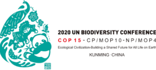 Logo for COP15 conference Kunming
