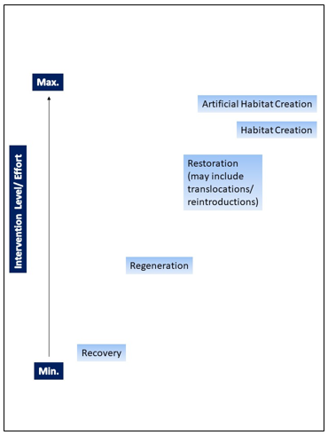 Graph showing the level of intervention on the left y axis from minimum to maximum, with the terms recovery, regeneration, restoration and habitat creation/artificial habitat creation in ascending order on the graph