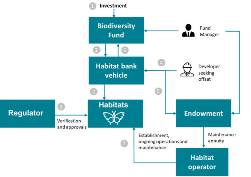 Diagram presenting the Habitat Bank structure described in detail below 