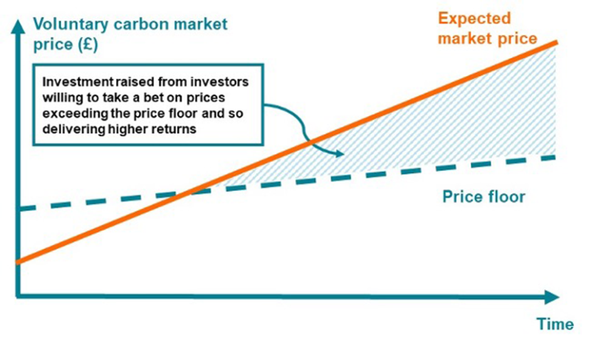 Diagram showing the reduction in risk to investors delivered by a price floor mechanism 