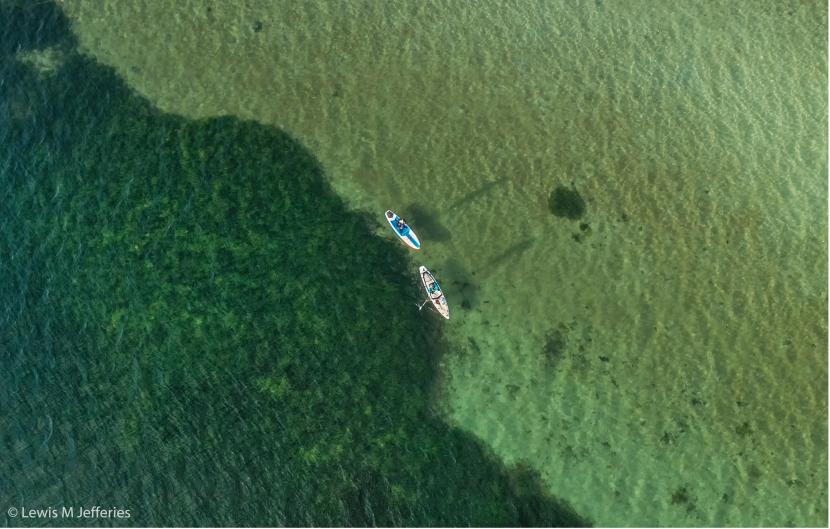 Aerial photograph showing the seagrass on one side of the paddleboarders in dark green and bare sand seabed on the right of the paddle boarders in light green