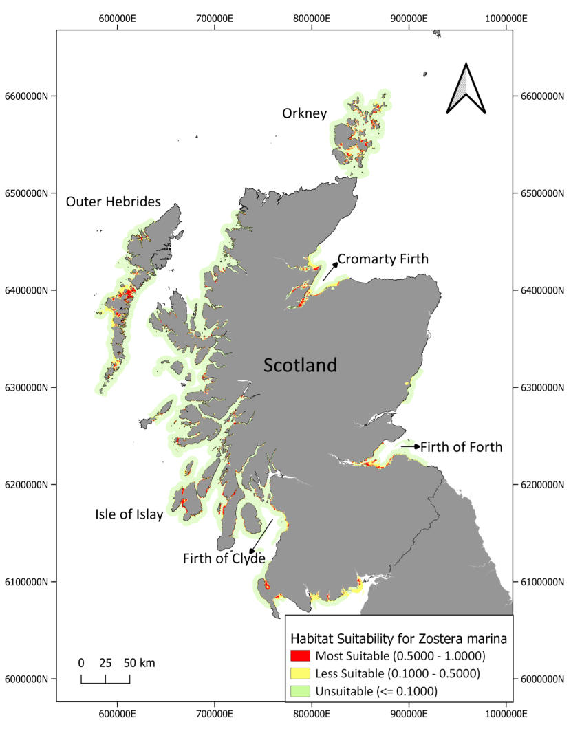 Map showing the sea area split into 3 categories - most suitable, less suitable and unsuitable.