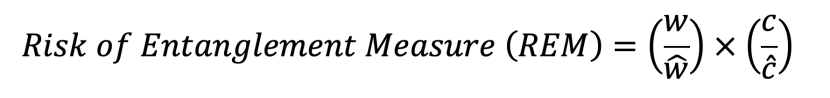 Equation for the risk of entanglement measure (REM)