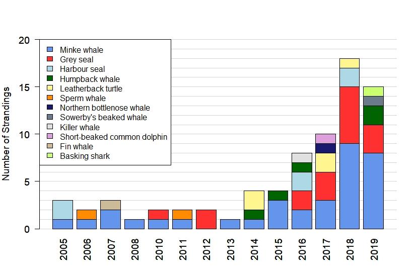 Bar chart split by species showing number of entanglements between years 2005 to 2019