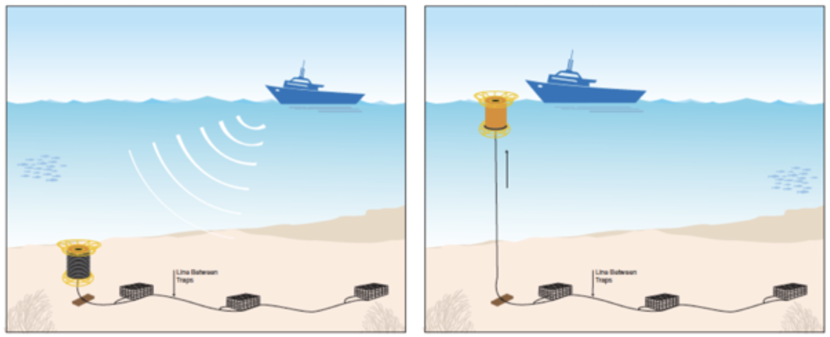 Two illustrations - first showing boat on sea surface triggering release of Fiobuoy which is on the seabed at the end of a fleet of creels. Second illustration is the boat near the Fionouy which is at the surface with rope connecting to fleet of creels on the seabed.  
