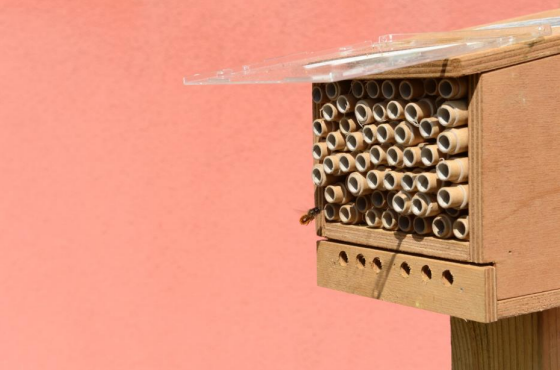 A wooden bee house with a bee outside of it