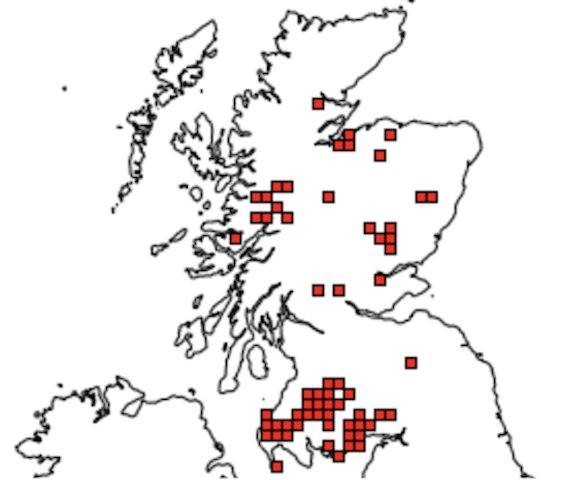Map of Scotland showing national distribution of feral pigs