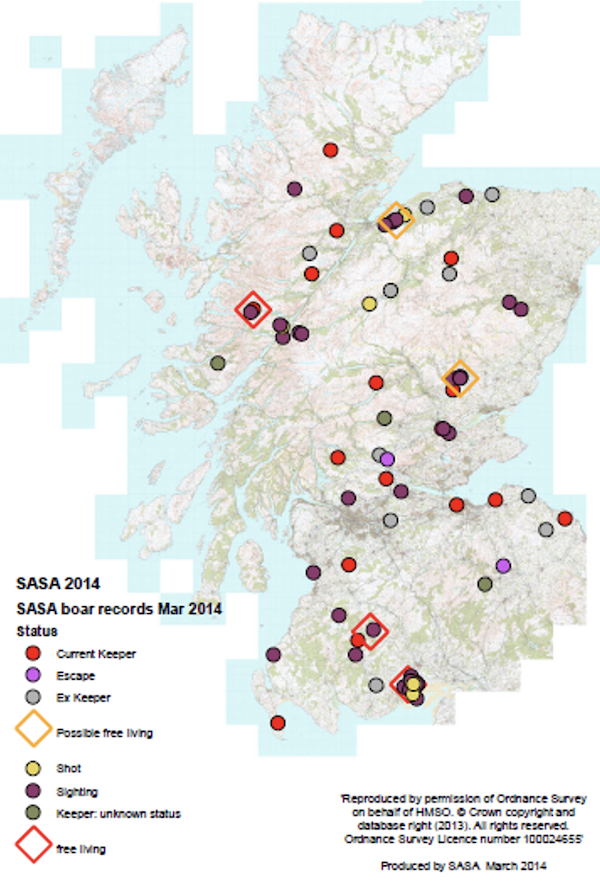 map of sites where wild boar were kept under licence in Scotland in March 2014, plus all sites in Scotland where sightings of feral pigs have been reported to March 2014