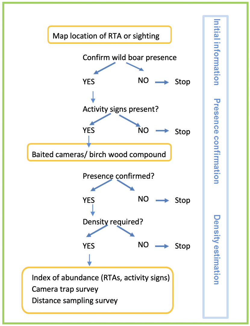 decision tree of methods to monitor presence and local abundance of wild boar