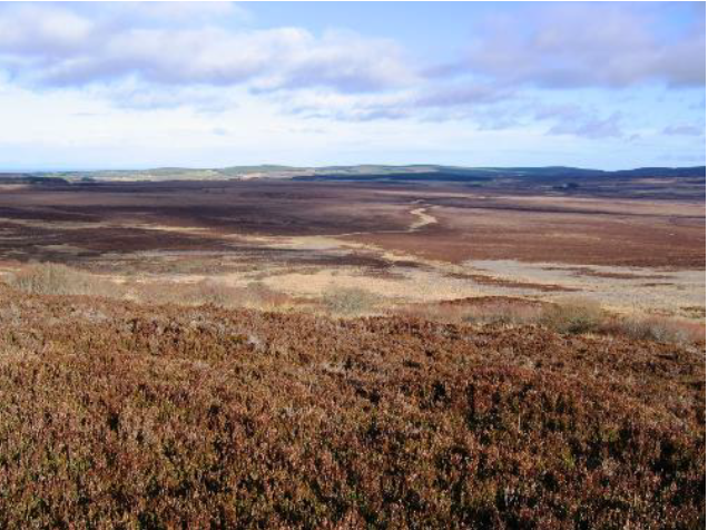 A good site for peat dams with open land and hills 