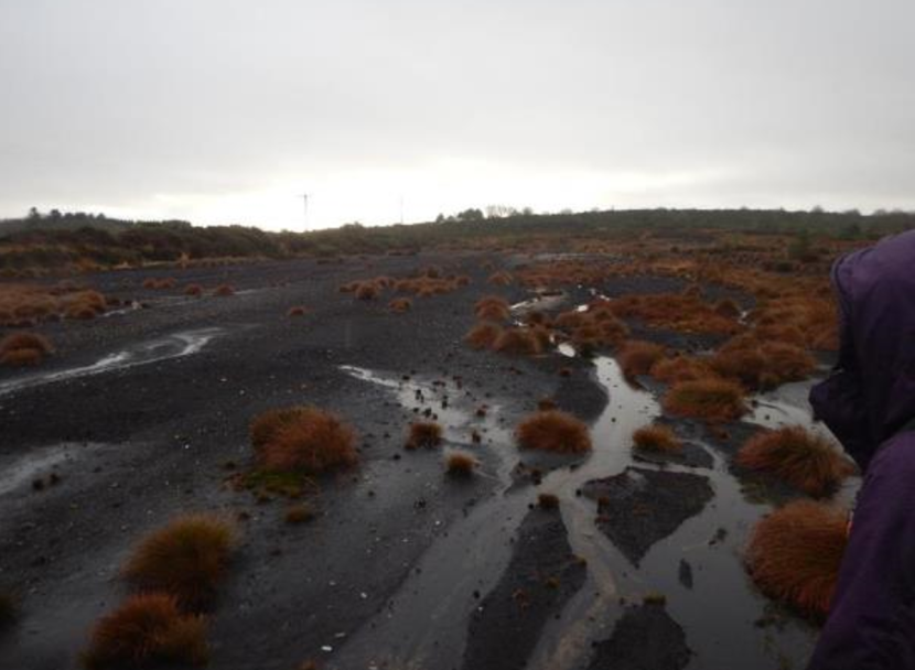 Peat extraction site condition after 20 years and no restoration