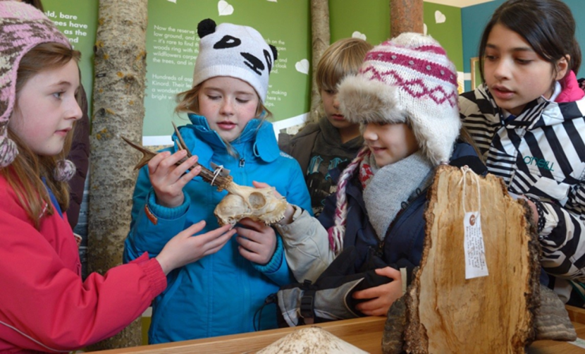 group of children learning at visitor centre Muir of Dinnet NNR