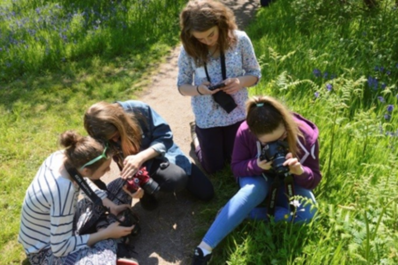 group of people photographing nature