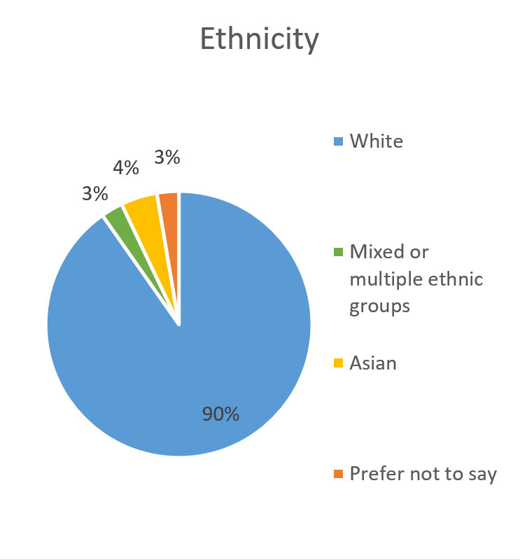 Pie chart showing the ethnicity of respondents.