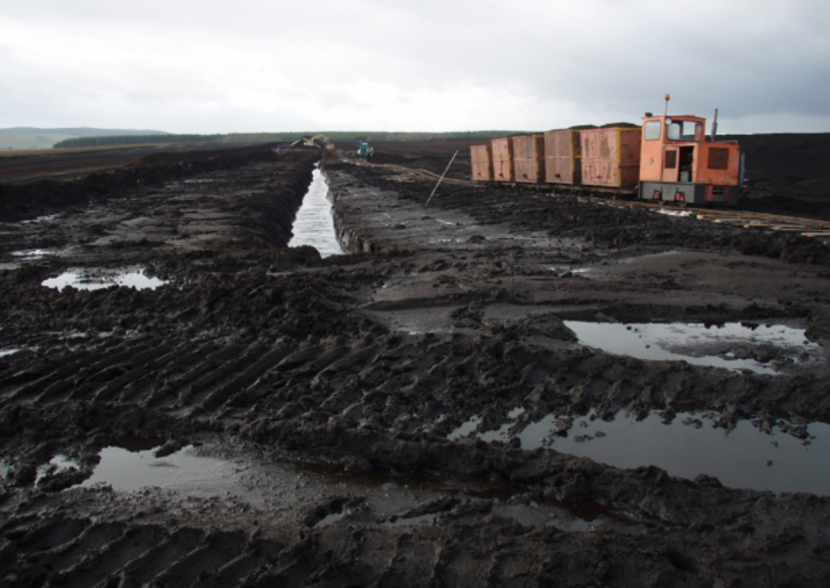 Peat freshly extracted with machinery in the background