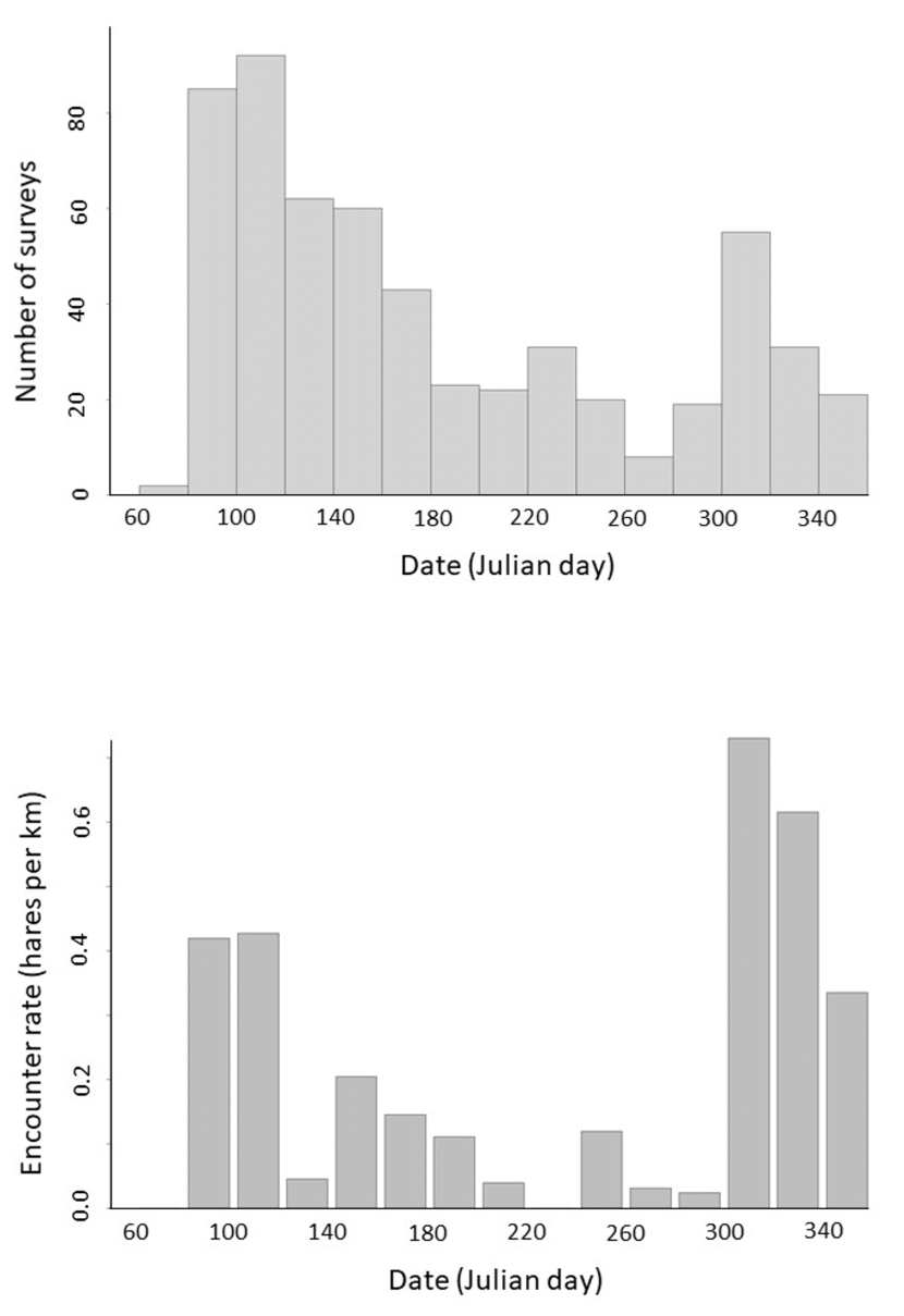 Graph showing the variation in time of year in number of surveys carried out and mean hare encounter rate