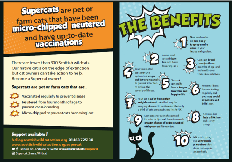 Back cover of Supercat leaflet pages