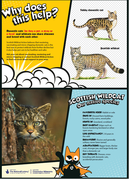 Centre cover of Supercat leaflet pages