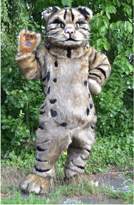 Person standing up in a wildcat outfit