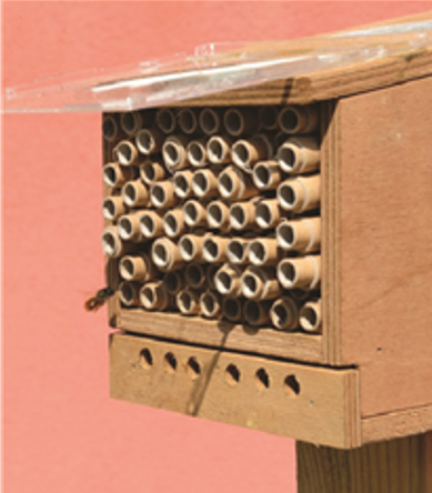Man-made nesting box