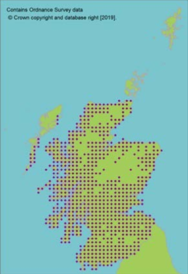 distribution of Harebell or Scottish bluebell