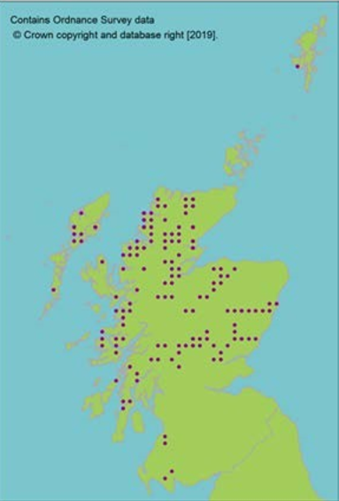 distribution of Freshwater pearl mussel
