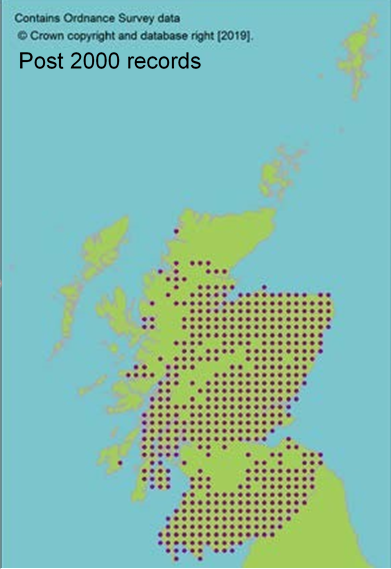 distribution of Red squirrel