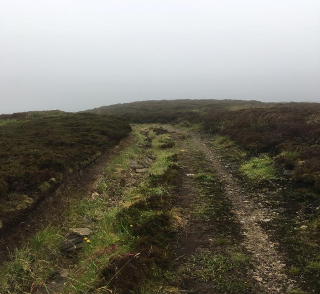 peat-cutting trail