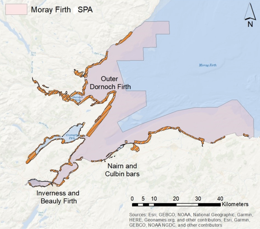 Map showing WeBS count sectors within the Moray Firth SPA