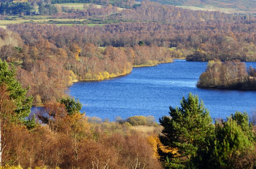 loch surrounded by trees