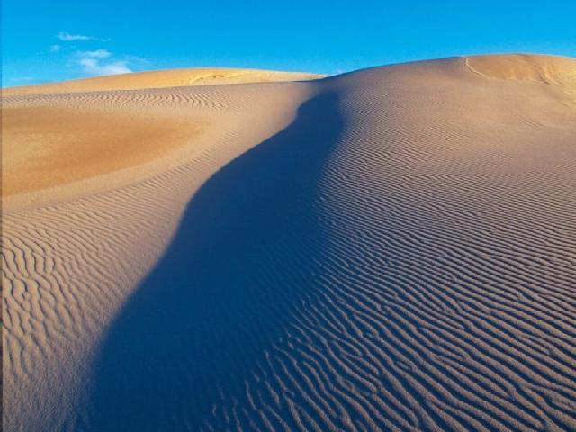 Sand ripples on the Sands of Forvie sand sheet