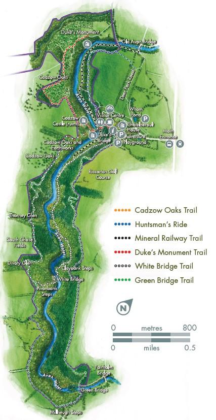 Clyde Valley Woodlands NNR map