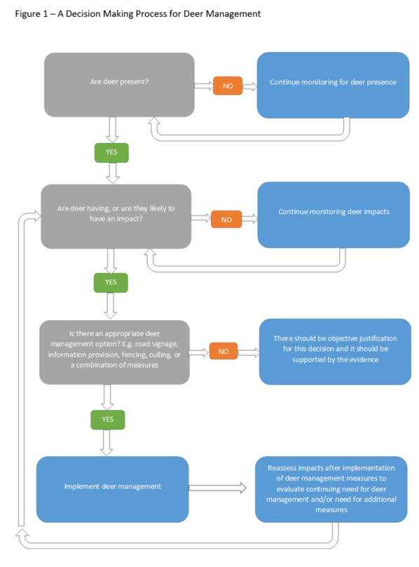 Flow chart describing decision process for deer management