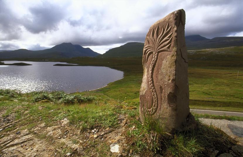 Pipeworm monolith
