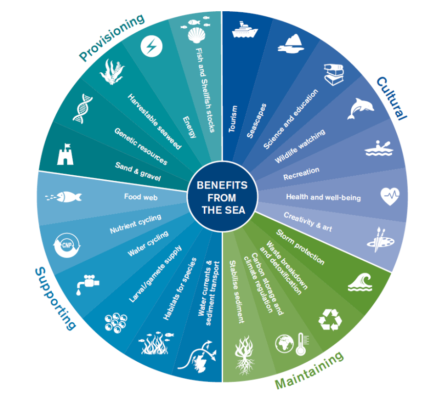 Infographic - Ecosystem Seas wheel