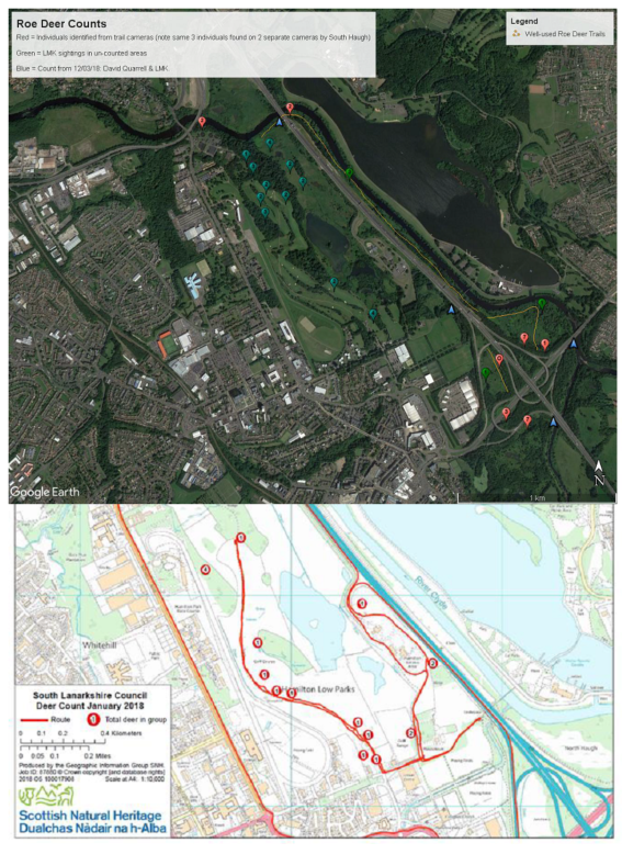 Figure 7 - Roe Deer Counts in the Strathclyde Country Park Area (Hamilton Low Parks SSSI) showing changes in numbers across the landscape (2018)
