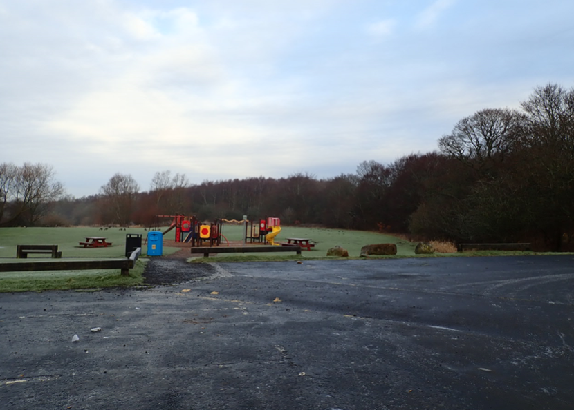 playground with roe deer in background