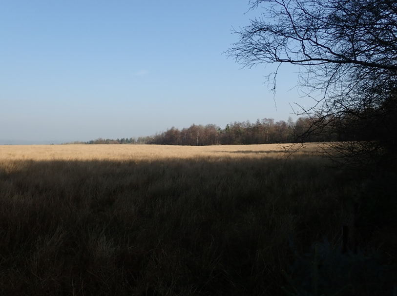 Land designated for the South Cumbernauld Community Growth Area