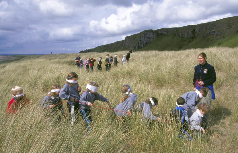 Two groups of schoolchildren exploring grassland. 