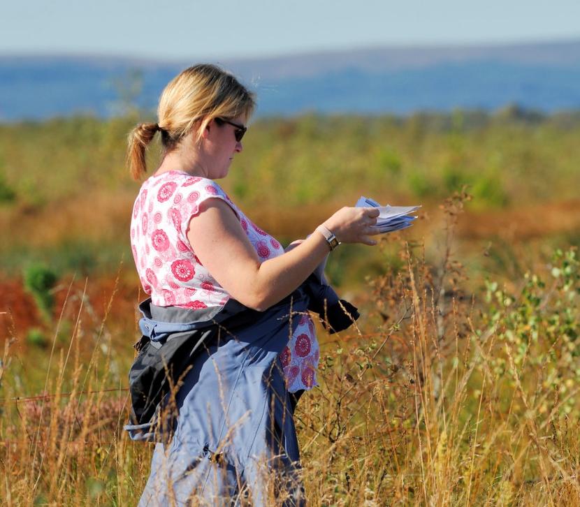A person recording data on a form in coastal grassland. 