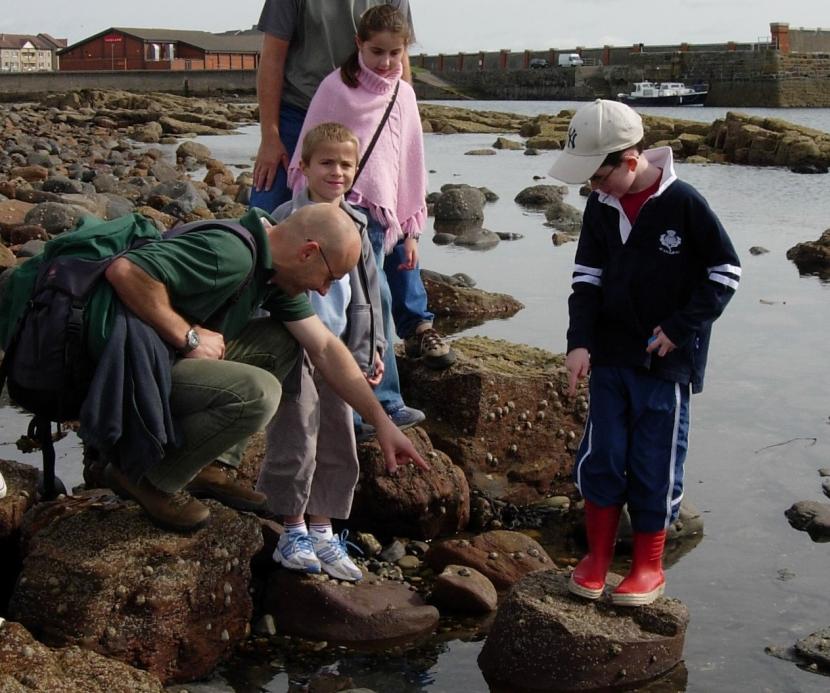 Five people collecting fossils